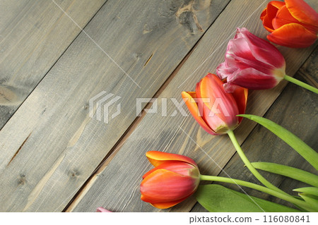 Tulips on a gray background with space for copyspace text. Spring background with flowers. Flower shop background 116080841