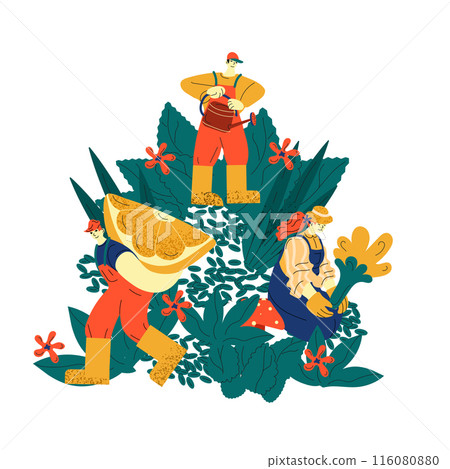 Three Farmers Working in a Lush Garden 116080880