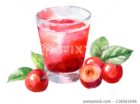 Watercolor acerola juice illustration Watercolor acerola juice illustration 116081046