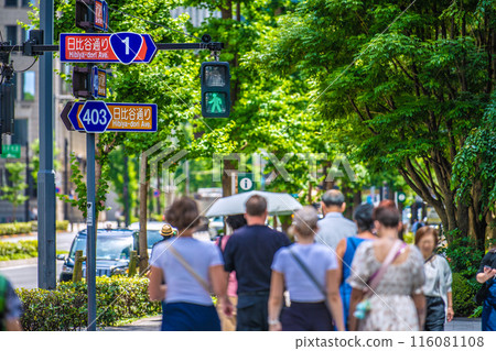 日本東京城市景觀 大手町十字路口在綠樹的襯托下格外引人注目。外國遊客的景象…四層排列的路標，日比谷通… 116081108