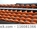 Enlarged abacus 116081366