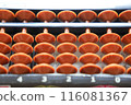 Enlarged abacus 116081367
