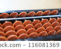 Enlarged abacus 116081369