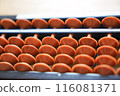 Abacus 116081371