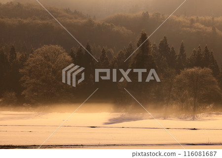Nishiwaga Town, Iwate Prefecture Winter scenery at sunrise 116081687