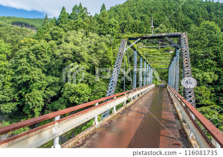 龍內峽的絕景「舊龍內橋」 三重郡大台町 龍內峽的絕景「舊龍內橋」 三重郡大台町 116081735