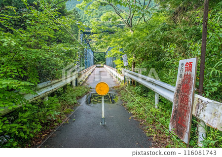 龍內峽的絕景「舊龍內橋」 三重郡大台町 龍內峽的絕景「舊龍內橋」 三重郡大台町 116081743
