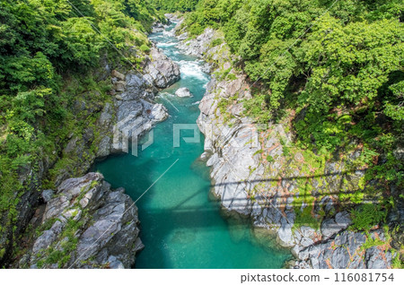 Gorge scenery (Ryonai Gorge, spectacular photo spot, old Ryonai Bridge) Odai Town, Mie Prefecture 116081754