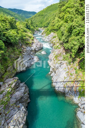 Gorge scenery (Ryonai Gorge, spectacular photo spot, old Ryonai Bridge) Odai Town, Mie Prefecture Gorge scenery (Ryonai Gorge, spectacular photo spot, old Ryonai Bridge) Odai Town, Mie Prefecture 116081755