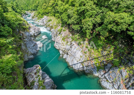 峽谷風景 《龍井內峽谷、絕美拍照勝地、舊領地橋》 三重縣大台町 116081758
