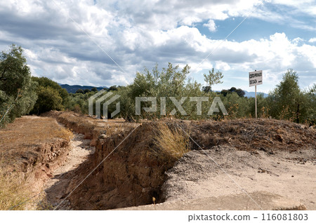 Beautiful pregnant woman with big belly in late pregnancy, looking at camera, posing with naked belly over studio background with neon lights, dressed in stylish white blazer. Pregnancy. Maternity Beautiful pregnant woman with big belly in late pregnancy, looking at camera, posing with naked belly over studio background with neon lights, dressed in stylish white blazer. Pregnancy. Maternity 116081803