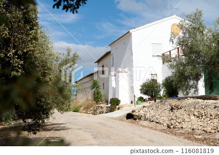 Beautiful pregnant woman with big belly in late pregnancy, looking at camera, posing with naked belly over studio background with neon lights, dressed in stylish white blazer. Pregnancy. Maternity 116081819
