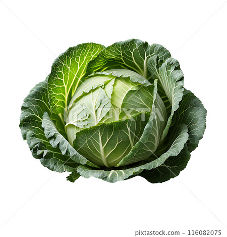 Head of ripe green cabbage isolated. Fresh vegetable. Healthy eating, vegetarian diet, organic food. 116082075