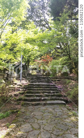 Hikosan Shrine, Fukuoka Tagawa Hikosan Shrine, Fukuoka Tagawa 116082120