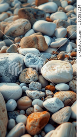 The warm glow of the setting sun highlights a mosaic of pebbles on the beach, showcasing nature's intricate textures and patterns. It's a portrait of tranquil beauty. 116082234