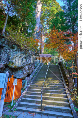 Autumn in Takasaki, Gunma Prefecture: Looking towards the Omizuya (chozuya) from the bottom of the stone steps near the Mannen Izumi Spring at Haruna Shrine 116082599
