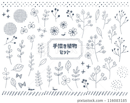 可愛的植物手繪粗集灰色 116083185