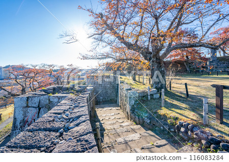 Shirakawa-Komine Castle Sakuranomon ruins, autumn cherry blossoms 116083284