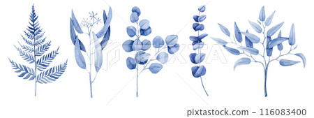 Set of five branches of blue. It is fern, seeded, silver dollar, smilax and spiral eucalyptus in watercolor on a white background. 116083400