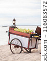 Grilled corn stand 116083572