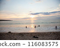 Sunset over the sea and surfer 116083575