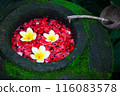 Flowers floating on water 116083578
