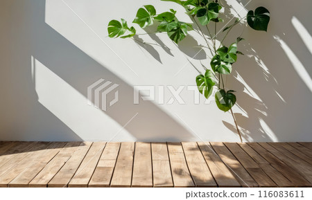 sunlit room with wooden flooring and white plaster wall with green plant. Sunlight casts elegant shadows. showcasing products or objects 116083611