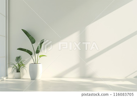 有白色壁紙和室內植物的房間 116083705