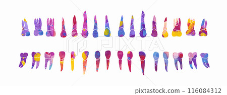 Dental Row. Vector colorful watercolor illustration 116084312