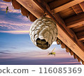 Beehive 116085369