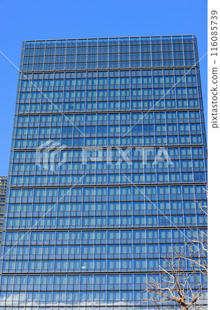 摩天大樓的城市景觀 116085739