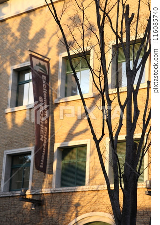 冬甲子園 116085740