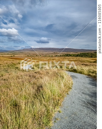 Path in Glenveagh National Park, Republic Donegal, Ireland Path in Glenveagh National Park, Republic Donegal, Ireland 116085805