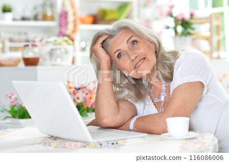 Cute nice senior woman using laptop at home Cute nice senior woman using laptop at home 116086006