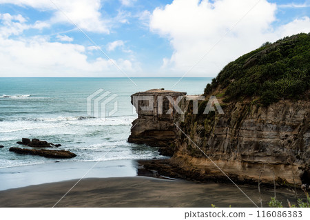 Murawai Gannet colony on cape of west coast by pacific ocean 116086383