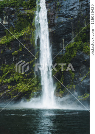 Moody waterfall flowing in tropical rainforest at Milford Sound 116086429