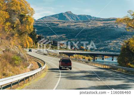 Car driving on asphalt road with yellow forest trees in autumn at New Zealand 116086460