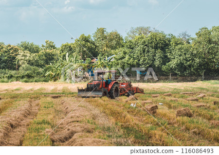 Tractor working on rice filed during harvest season in farmland 116086493