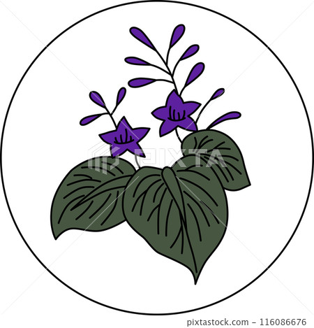 彩色圓形花扎十二月泡桐泡桐渣 彩色圓形花扎十二月泡桐泡桐渣 116086676