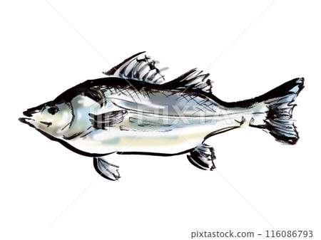 手寫日式毛筆插畫素材魚鱈魚 116086793