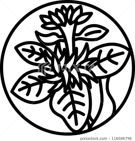 Line drawing circular mini Hanafuda cards - Nagatsuki, Chrysanthemum, September, Chrysanthemum casing 116086796