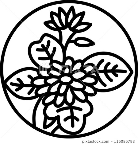 線描圓形迷你花札長月菊花九月菊花渣 116086798
