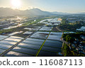Aerial shots of the landscape created by rice paddies 116087113