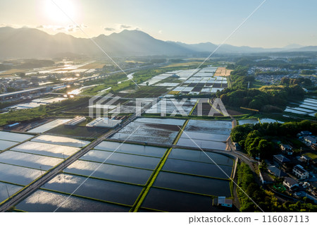 我從空中拍攝了稻田景觀。 116087113