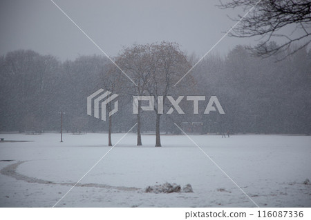 Snowfall park 116087336
