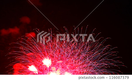 Beautiful fireworks lighting up the night sky Beautiful fireworks lighting up the night sky 116087379