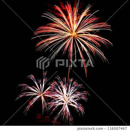 Beautiful fireworks lighting up the night sky Beautiful fireworks lighting up the night sky 116087467