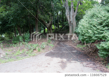 An empty view of Inokashira Park 116087529