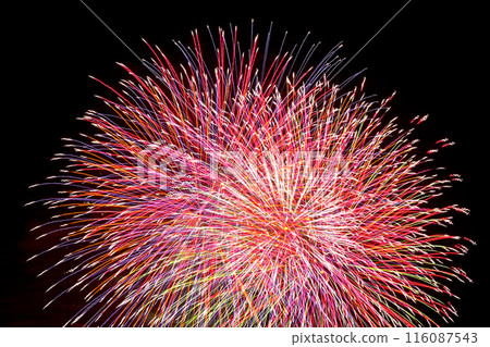 Beautiful fireworks lighting up the night sky 116087543