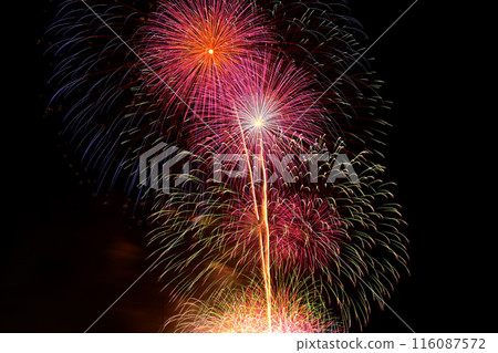 Beautiful fireworks lighting up the night sky 116087572